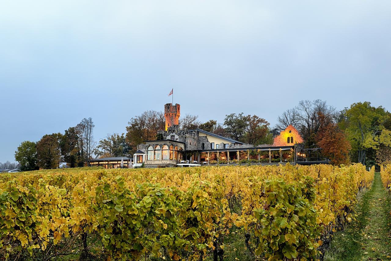 Relais & Chateaux Hotel Burg Schwarzenstein Geisenheim Bagian luar foto
